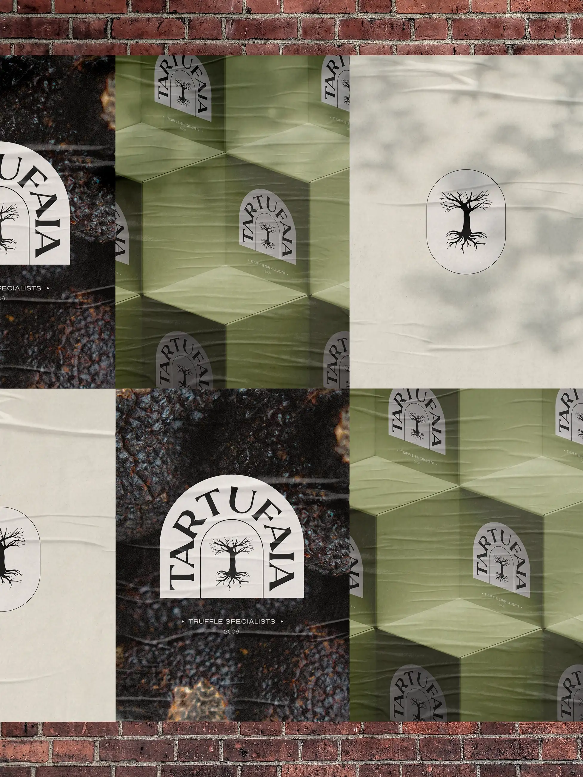 Close-up urban display six Tartufaia posters on red brick wall: truffle photos, standalone logo, cream background with dark branding and olive green packaging close-up, gourmet street marketing campaign