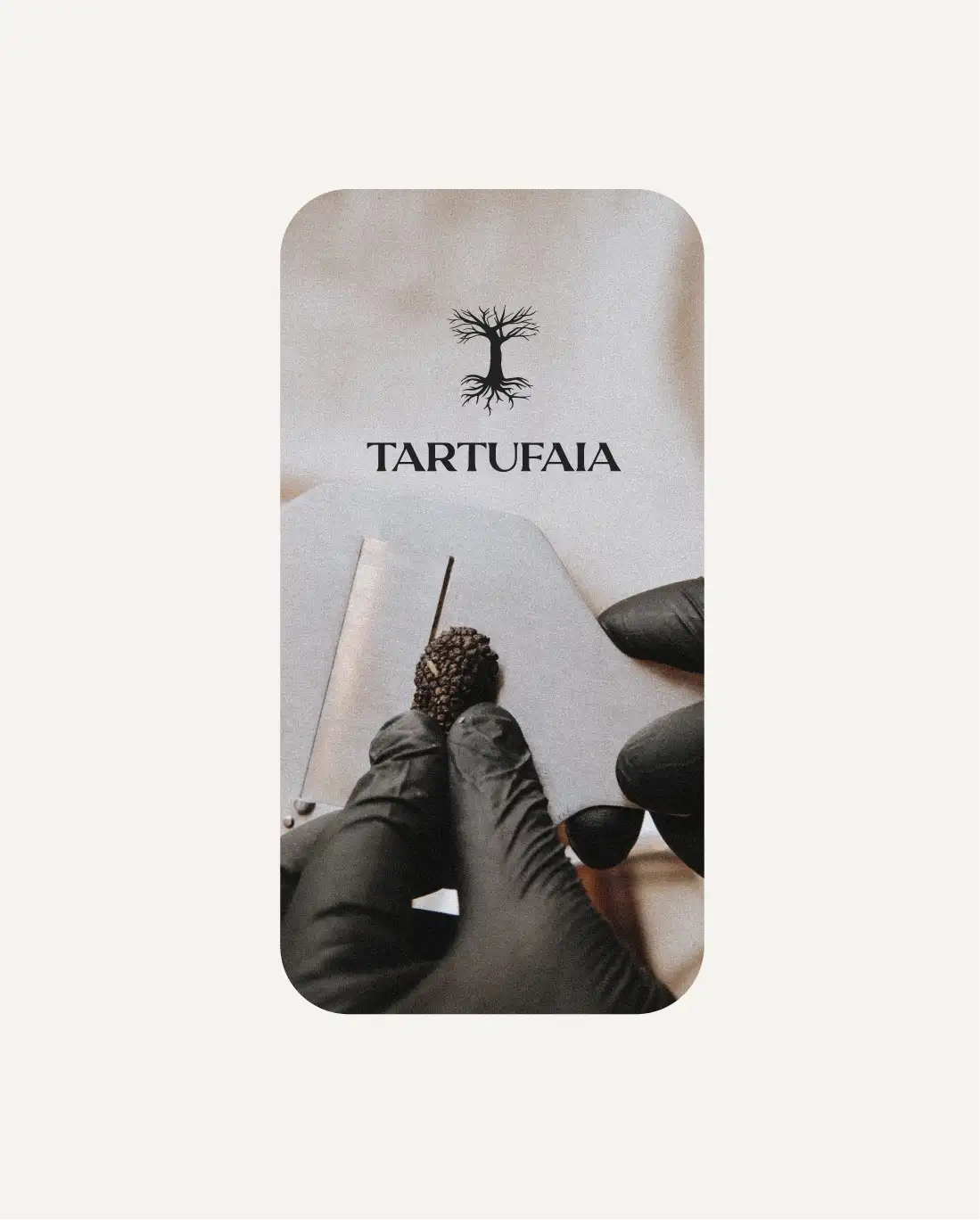 Tartufaia Instagram story mockup: close-up of gloved hand chopping truffle with professional tool, Tartufaia logo, artisanal gourmet content