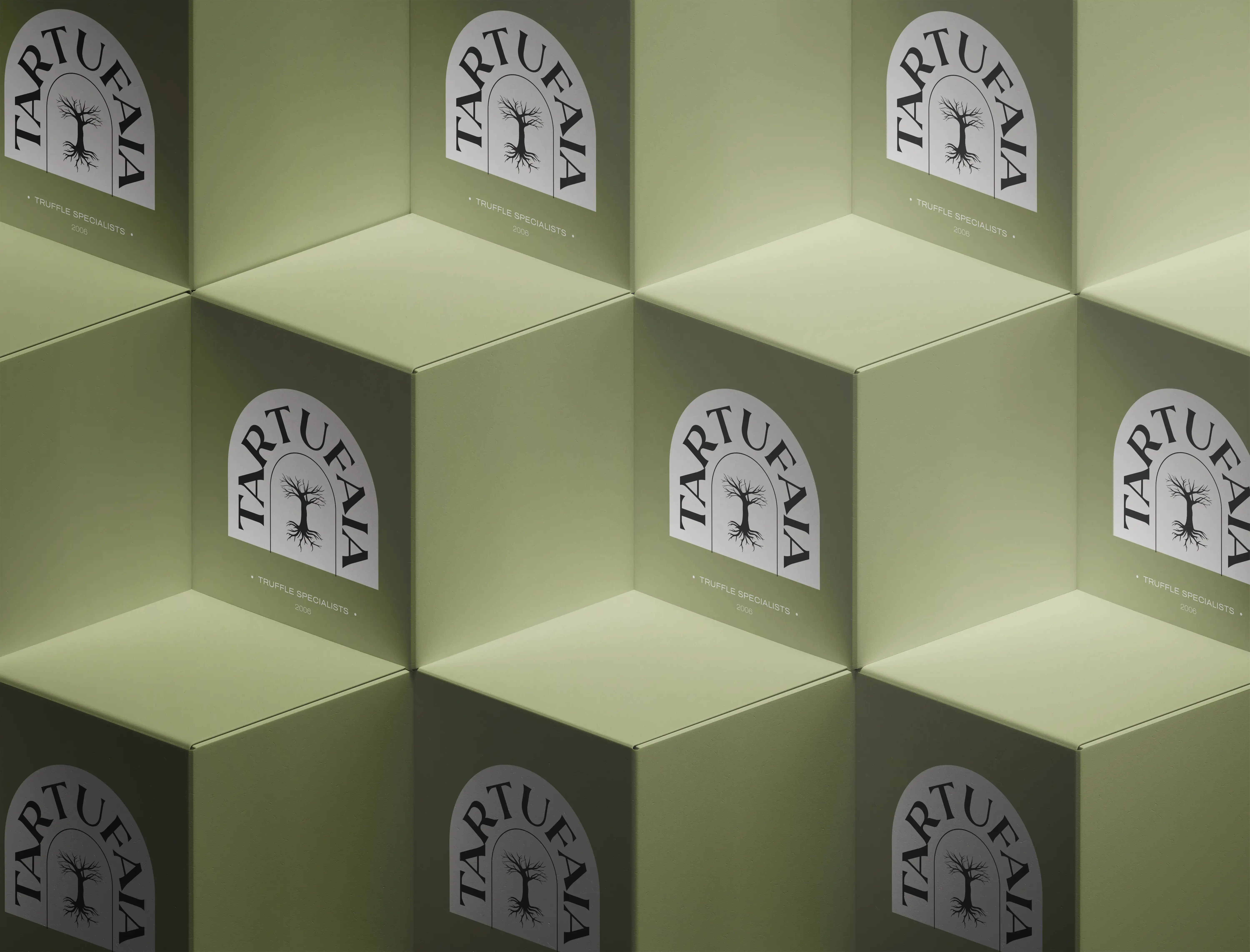 Close-up of stacked square Tartufaia olive green packaging, thick premium cardboard boxes with black logo, refined minimalist truffle product design